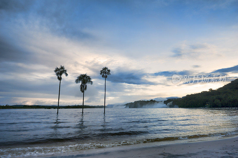 有三棵棕榈树的Canaima泻湖。Canaima NP、委内瑞拉